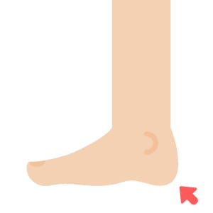 heel - body parts
