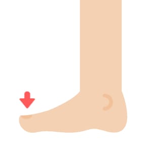 dedo del pie - partes del cuerpo