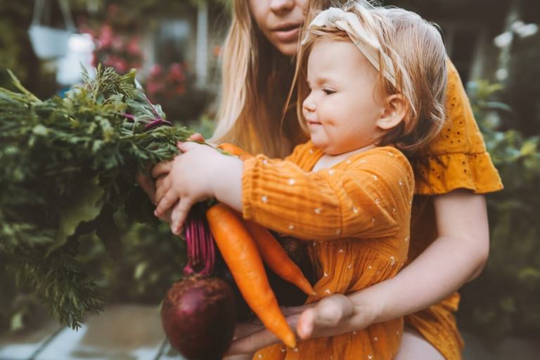 educational fall activities for families