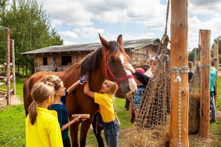 actividades para el mes del autismo caballos