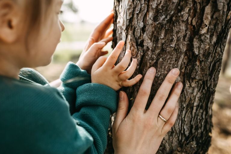 actividades para enseñar a los niños los cinco sentidos