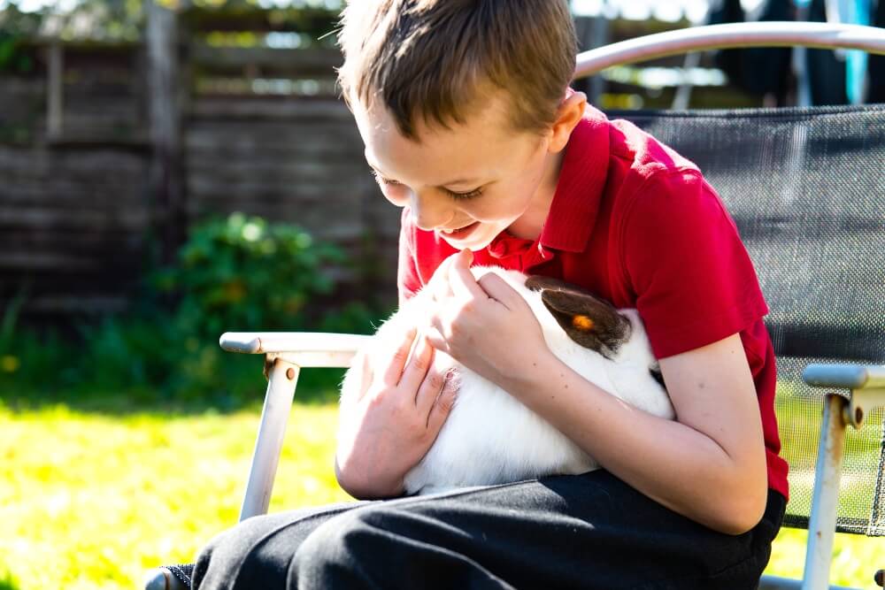 animal therapy for kids 