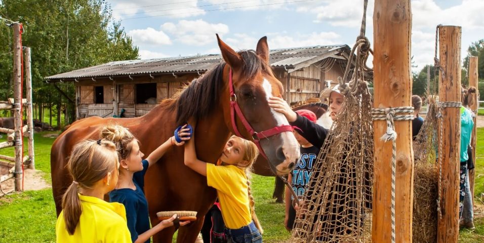 actividades para el mes del autismo caballos